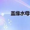 盖缘水母科(关于盖缘水母科介绍) 盖缘水母科(关于盖缘水母科介绍)