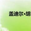 盖迪尔·胡木（关于盖迪尔·胡木介绍）