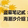 盗墓笔记贰：怒海潜沙（关于盗墓笔记贰：怒海潜沙介绍）