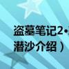 盗墓笔记2·怒海潜沙（关于盗墓笔记2·怒海潜沙介绍）
