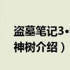 盗墓笔记3·秦岭神树（关于盗墓笔记3·秦岭神树介绍）