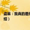 盗墓：我真的是摸金校尉（关于盗墓：我真的是摸金校尉介绍）
