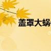 盖罩大蜗牛（关于盖罩大蜗牛介绍）