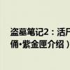 盗墓笔记2：活尸·玉俑·紫金匣（关于盗墓笔记2：活尸·玉俑·紫金匣介绍）