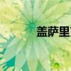 盖萨里克（关于盖萨里克介绍）