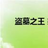 盗墓之王 柒（关于盗墓之王 柒介绍）