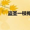 盗圣一枝梅2（关于盗圣一枝梅2介绍）