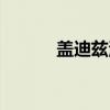 盖迪兹河（关于盖迪兹河介绍）