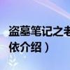 盗墓笔记之老无所依（关于盗墓笔记之老无所依介绍）