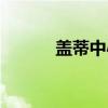 盖蒂中心（关于盖蒂中心介绍）