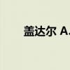 盖达尔 A.P.（关于盖达尔 A.P.介绍）