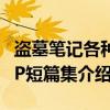 盗墓笔记各种CP短篇集（关于盗墓笔记各种CP短篇集介绍）