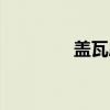 盖瓦房（关于盖瓦房介绍）
