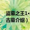 盗墓之王1·埃及古墓（关于盗墓之王1·埃及古墓介绍）