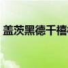 盖茨黑德千禧桥（关于盖茨黑德千禧桥介绍）