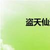 盗天仙途（关于盗天仙途介绍）