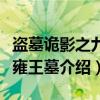 盗墓诡影之九星雍王墓（关于盗墓诡影之九星雍王墓介绍）