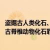 盗掘古人类化石、古脊椎动物化石罪（关于盗掘古人类化石、古脊椎动物化石罪介绍）