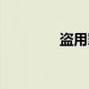 盗用罪（关于盗用罪介绍）