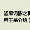 盗墓诡影之再闯雍王墓（关于盗墓诡影之再闯雍王墓介绍）