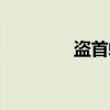 盗首螈（关于盗首螈介绍）