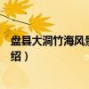 盘县大洞竹海风景名胜区（关于盘县大洞竹海风景名胜区介绍）