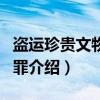 盗运珍贵文物出口罪（关于盗运珍贵文物出口罪介绍）