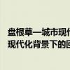盘根草—城市现代化背景下的回族社区（关于盘根草—城市现代化背景下的回族社区介绍）
