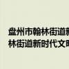 盘州市翰林街道新时代文明实践志愿服务队（关于盘州市翰林街道新时代文明实践志愿服务队介绍）