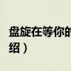 盘旋在等你的方向（关于盘旋在等你的方向介绍）