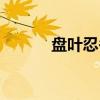 盘叶忍冬（关于盘叶忍冬介绍）