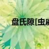 盘氏隙[虫戚]（关于盘氏隙[虫戚]介绍）