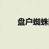 盘户蜘蛛队(关于盘户蜘蛛队介绍) 盘户蜘蛛队(关于盘户蜘蛛队介绍)