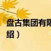 盘古集团有限公司（关于盘古集团有限公司介绍）
