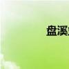 盘溪站（关于盘溪站介绍）