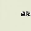 盘陀路（关于盘陀路介绍）