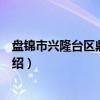 盘锦市兴隆台区鼎翔学校（关于盘锦市兴隆台区鼎翔学校介绍）
