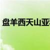 盘羊西天山亚种（关于盘羊西天山亚种介绍）