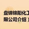 盘锦锦阳化工有限公司（关于盘锦锦阳化工有限公司介绍）