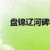 盘锦辽河碑林（关于盘锦辽河碑林介绍）