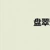 盘翠莹（关于盘翠莹介绍）