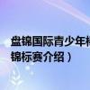 盘锦国际青少年棒垒球锦标赛（关于盘锦国际青少年棒垒球锦标赛介绍）