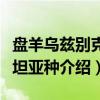 盘羊乌兹别克斯坦亚种（关于盘羊乌兹别克斯坦亚种介绍）