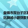 盘锦市双台子区融诚小额贷款有限公司（关于盘锦市双台子区融诚小额贷款有限公司介绍）