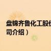 盘锦齐鲁化工股份有限公司（关于盘锦齐鲁化工股份有限公司介绍）