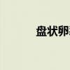 盘状卵裂（关于盘状卵裂介绍）
