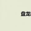 盘龙围（关于盘龙围介绍）