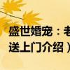 盛世婚宠：老公送上门（关于盛世婚宠：老公送上门介绍）