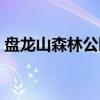 盘龙山森林公园(关于盘龙山森林公园介绍) 盘龙山森林公园(关于盘龙山森林公园介绍)