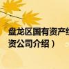 盘龙区国有资产经营投资公司（关于盘龙区国有资产经营投资公司介绍）